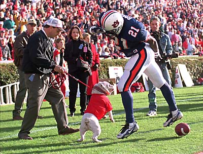 uga_bites_Robert_Baker_1996.jpg